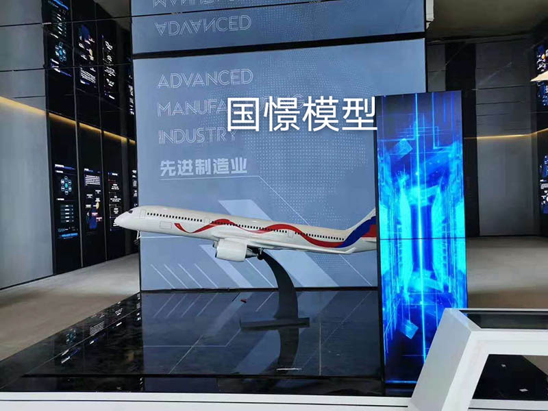 通山县飞机模型