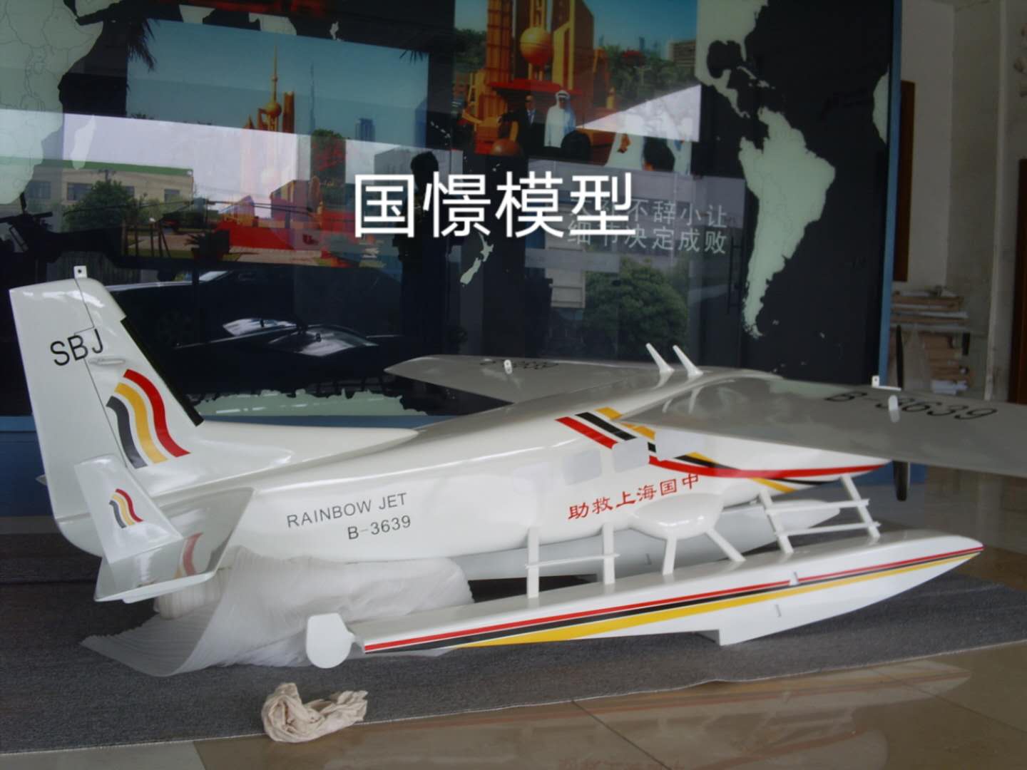 通山县飞机模型