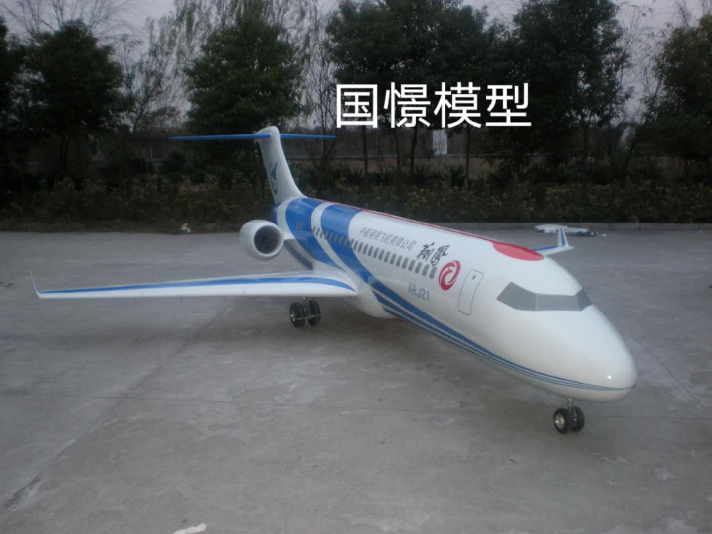 通山县飞机模型