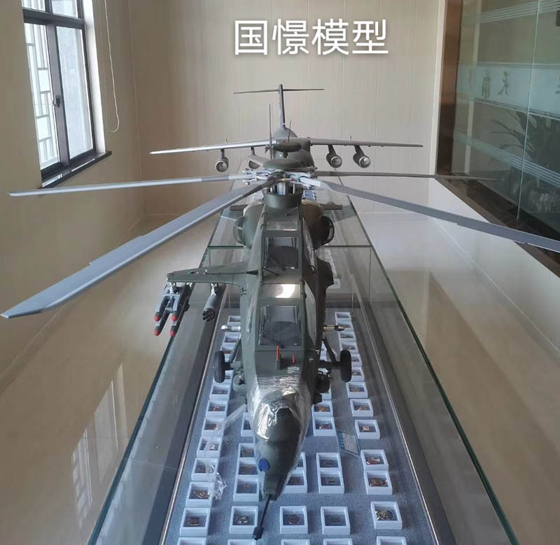 通山县飞机模型