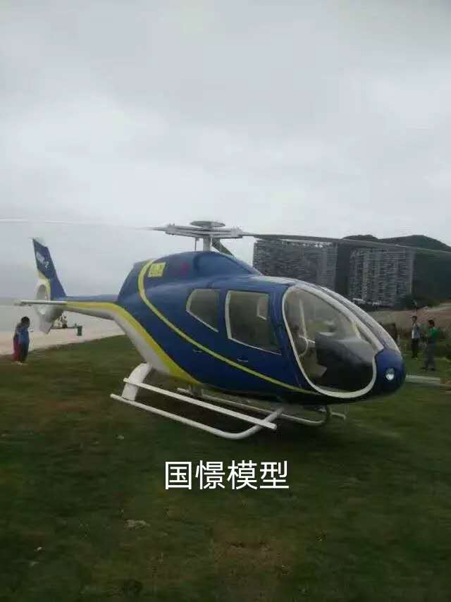 通山县飞机模型