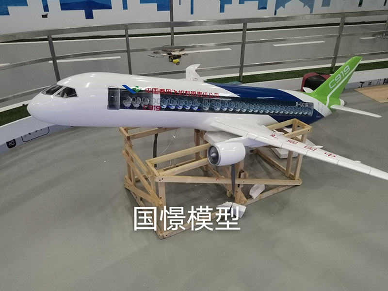 通山县飞机模型