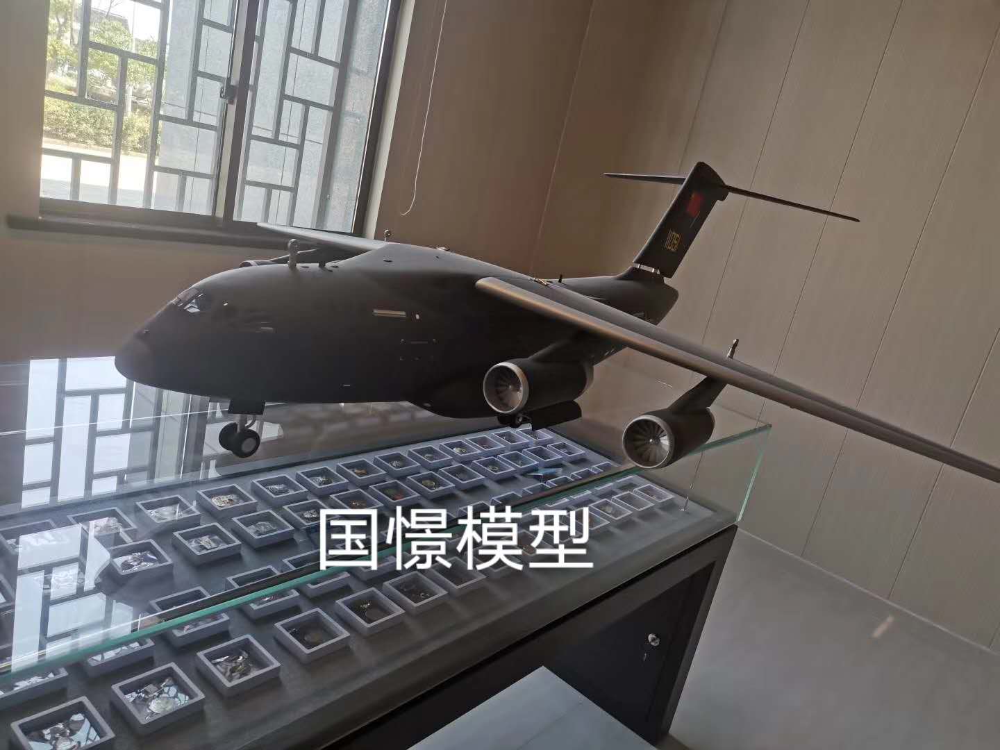 通山县飞机模型
