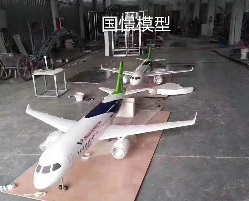 通山县飞机模型