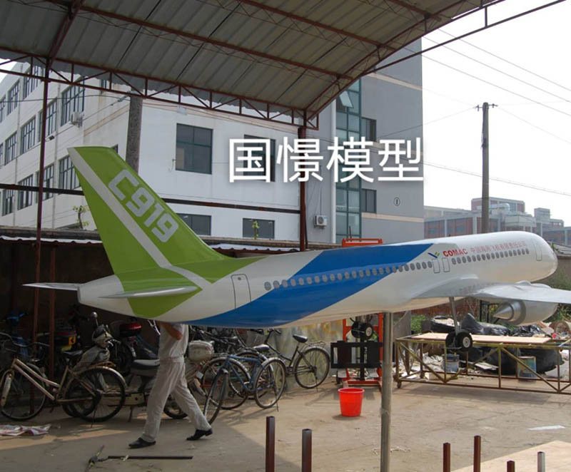 通山县飞机模型