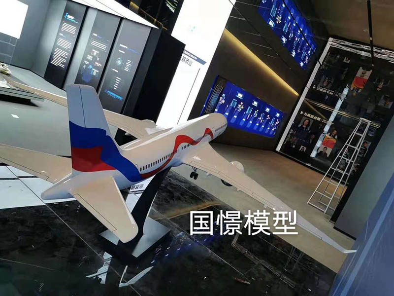 通山县飞机模型