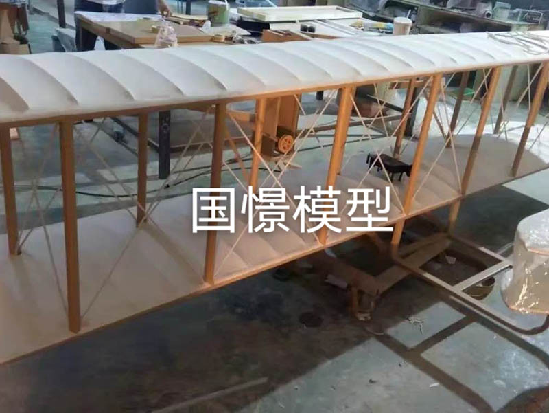 通山县飞机模型