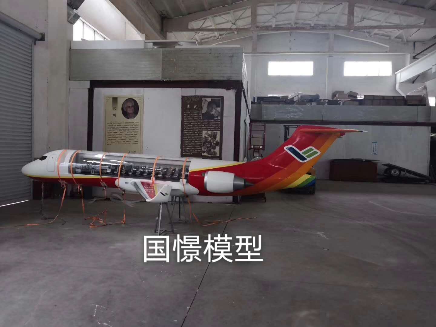 通山县飞机模型