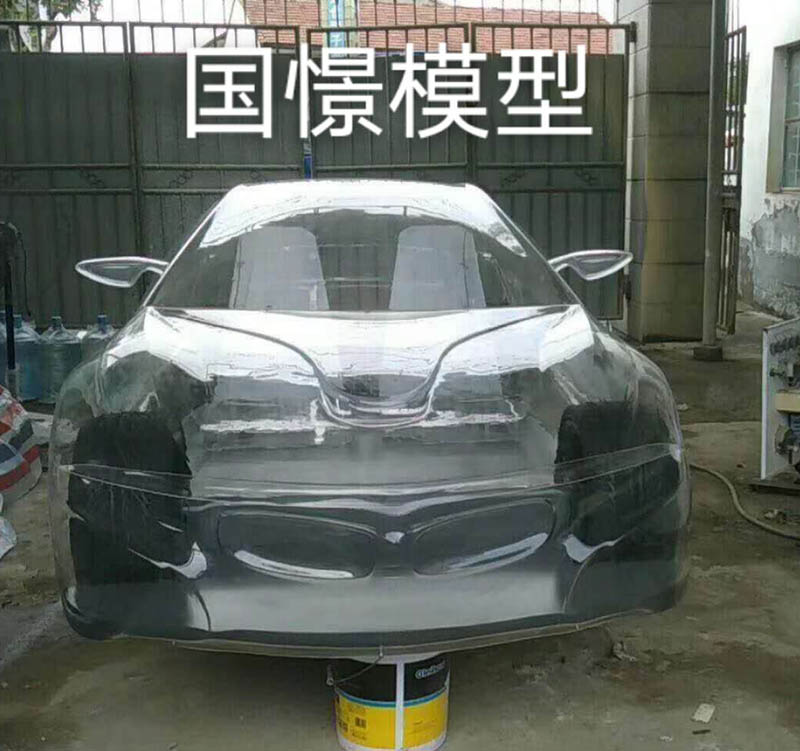 通山县透明车模型
