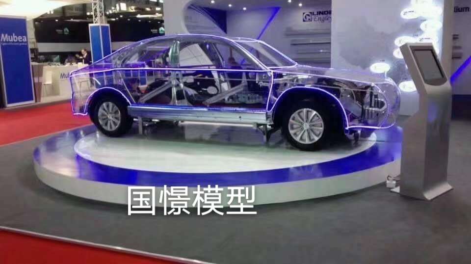 通山县透明车模型