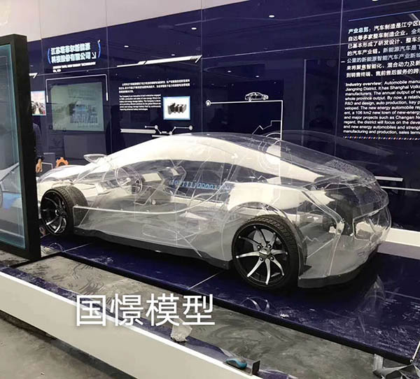 通山县透明车模型