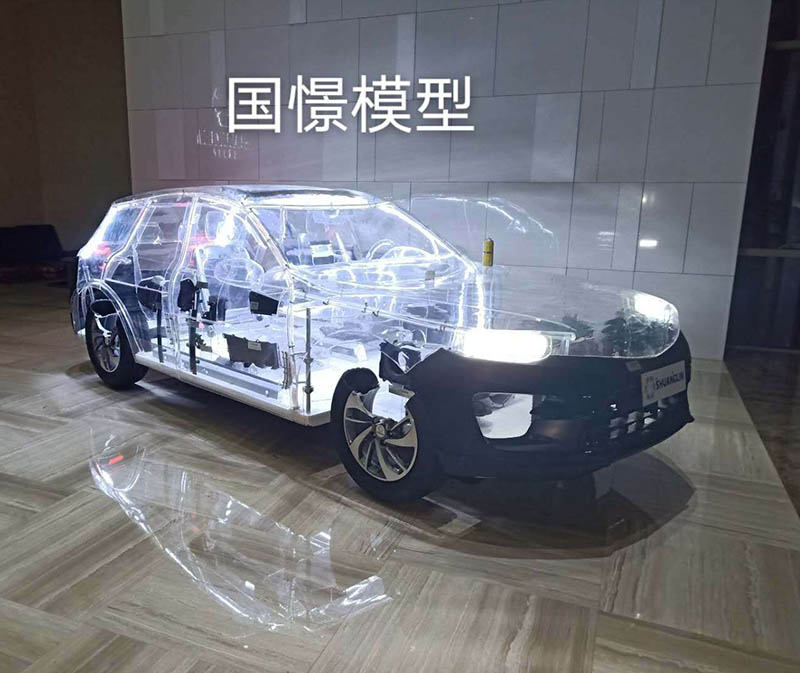 通山县透明车模型