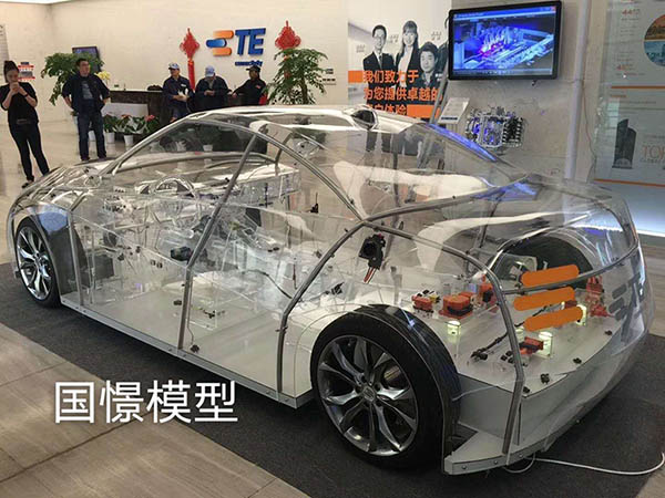 通山县透明车模型